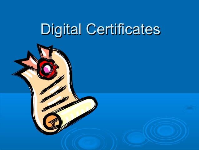 Bidding digital certificates